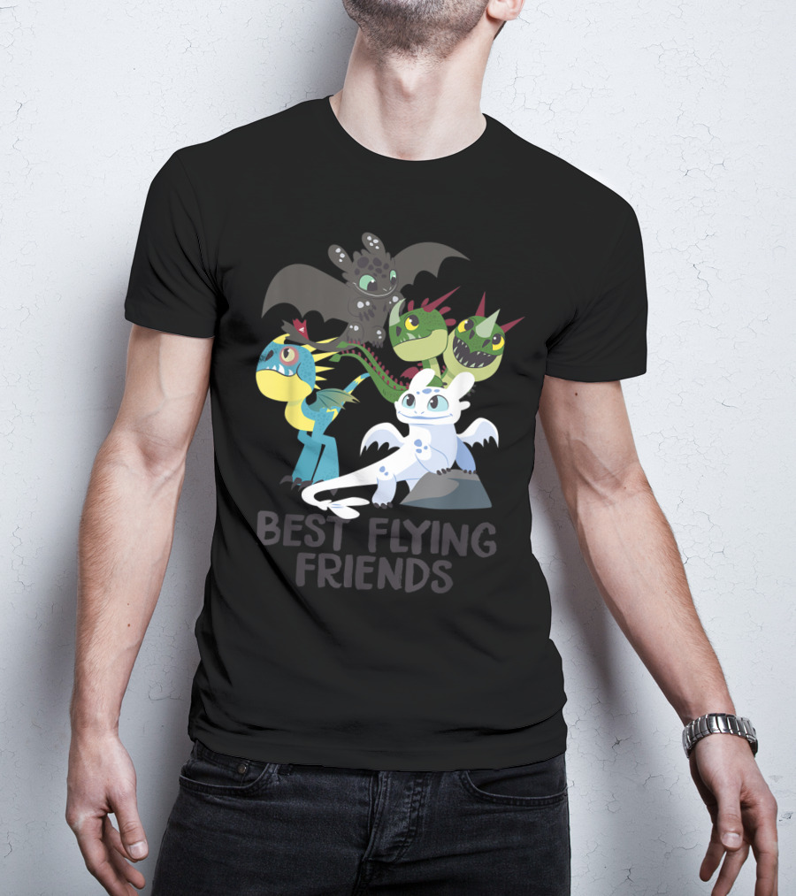 Best Flying Friends How To Train Your Dragon 3 Hidden World T-Shirt