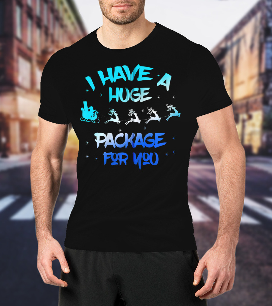 I Have A Huge Package For You Santa Reindeer Sleigh T-Shirt