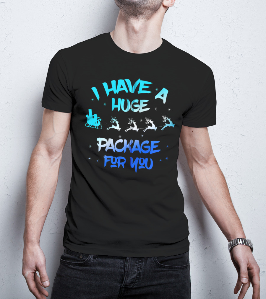 I Have A Huge Package For You Santa Reindeer Sleigh T-Shirt
