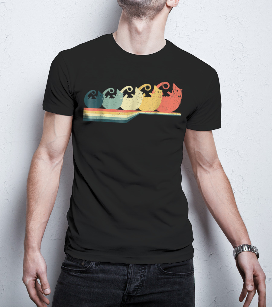 OPOSSUM Vintage Style Retro Rainbow T-Shirt