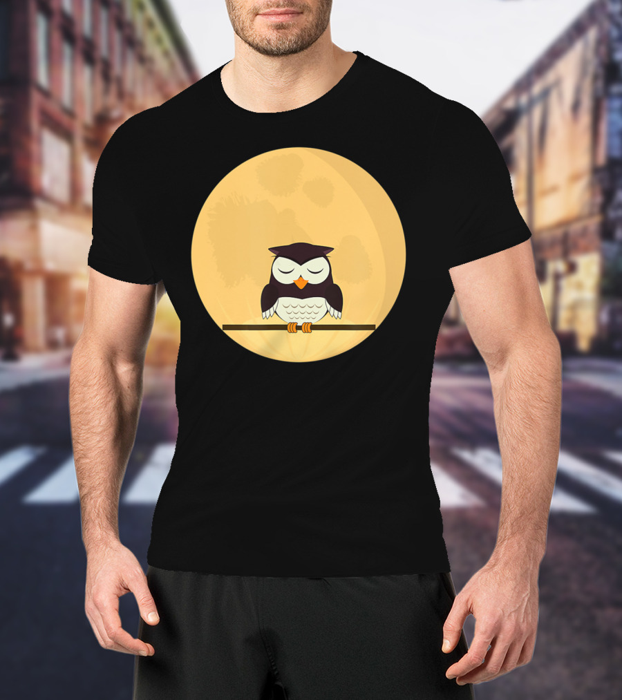 An Owl And The Full Moon Night Sky T-Shirt