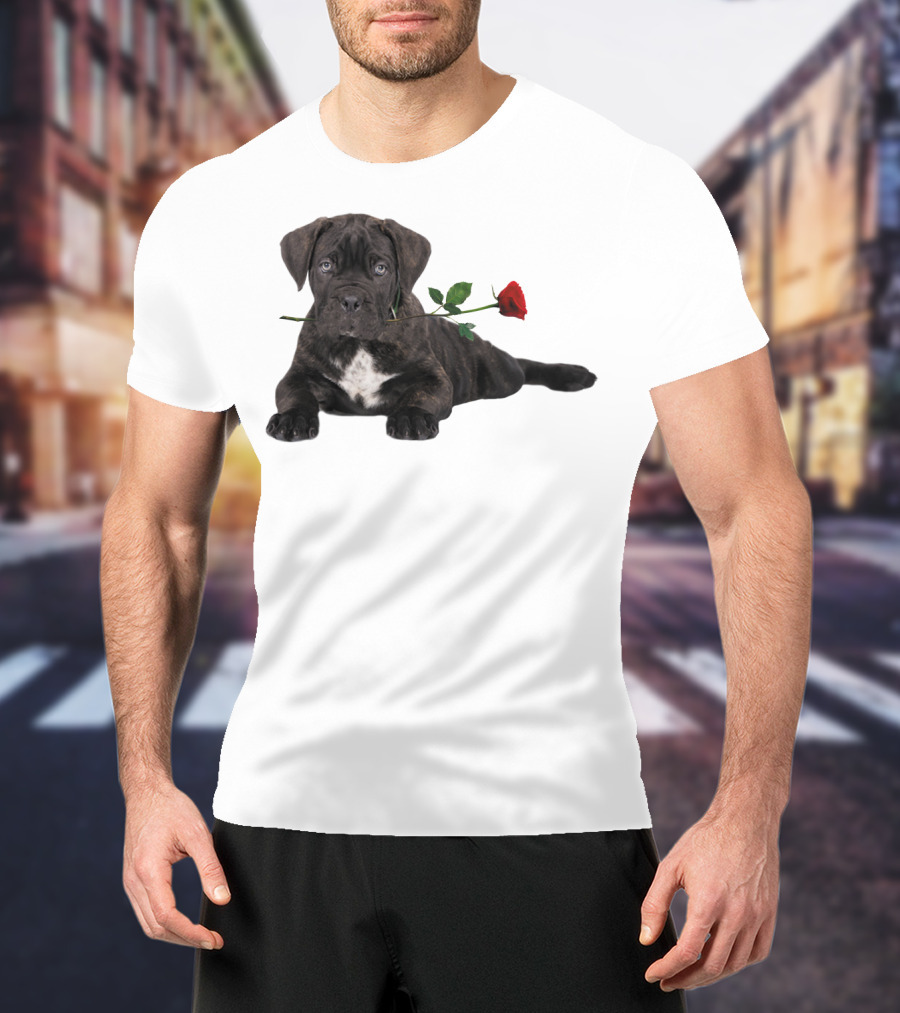Cane Corso Puppy With A Red Rose In Mouth T-Shirt