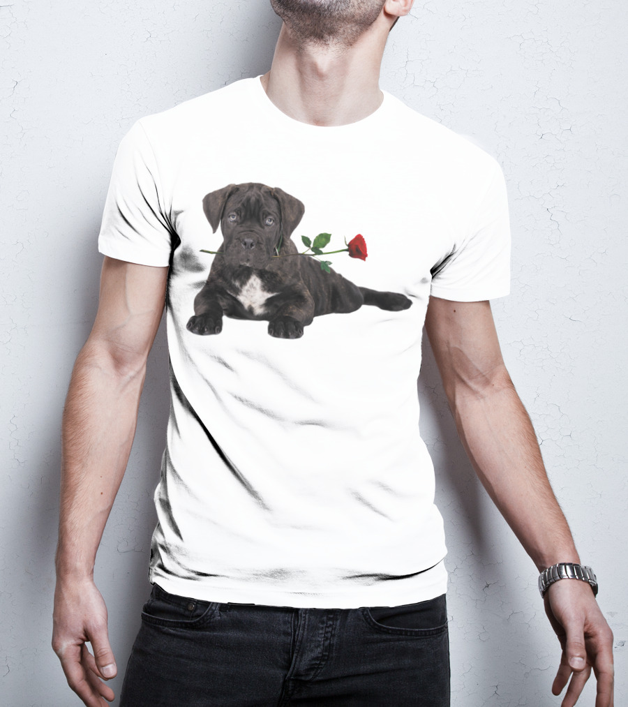 Cane Corso Puppy With A Red Rose In Mouth T-Shirt