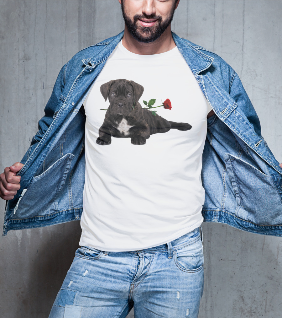 Cane Corso Puppy With A Red Rose In Mouth T-Shirt
