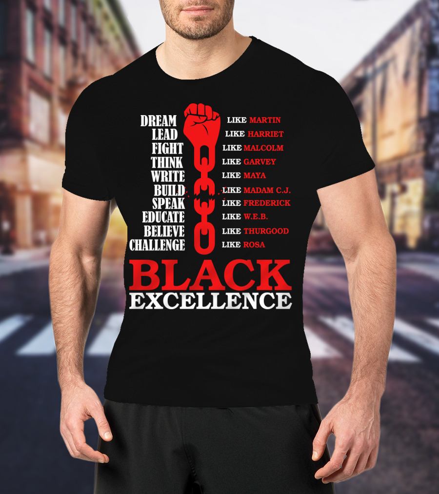 Dream Lead Fight Think Black Excellence Like Martin Like Rosa T-Shirt