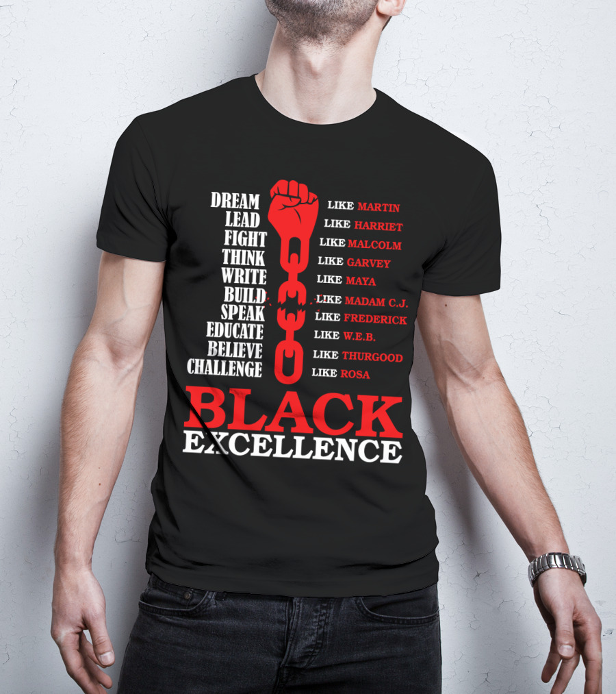 Dream Lead Fight Think Black Excellence Like Martin Like Rosa T-Shirt