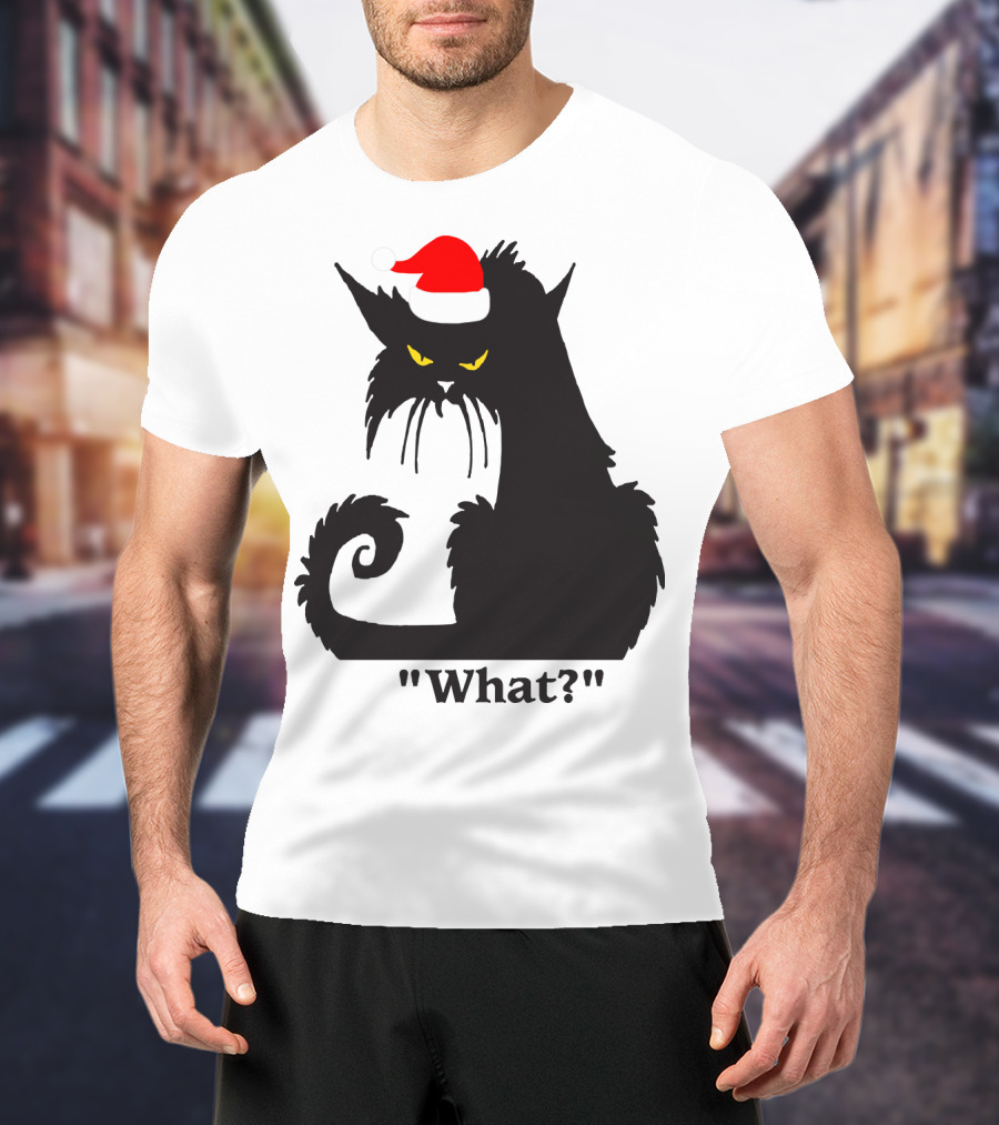 What Cat With Santa Hat T-Shirt