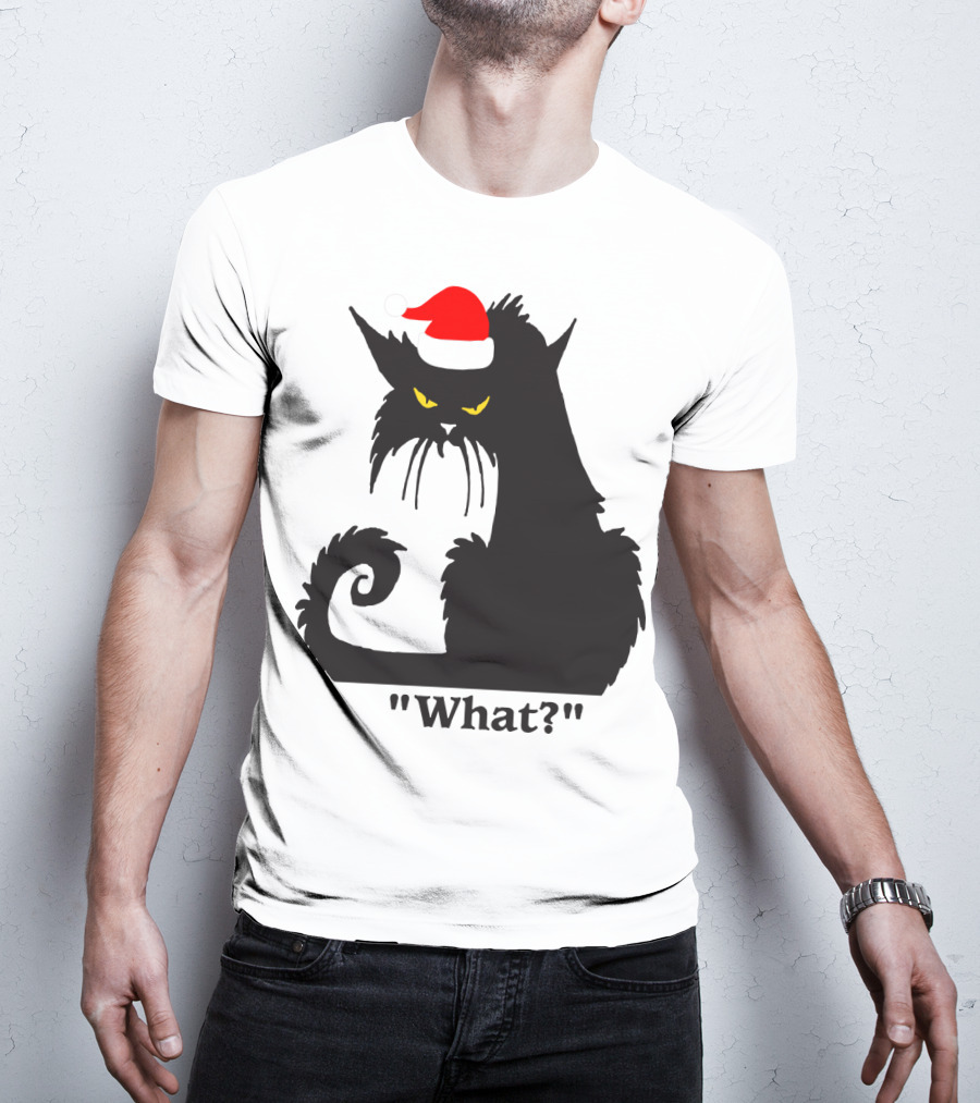 What Cat With Santa Hat T-Shirt