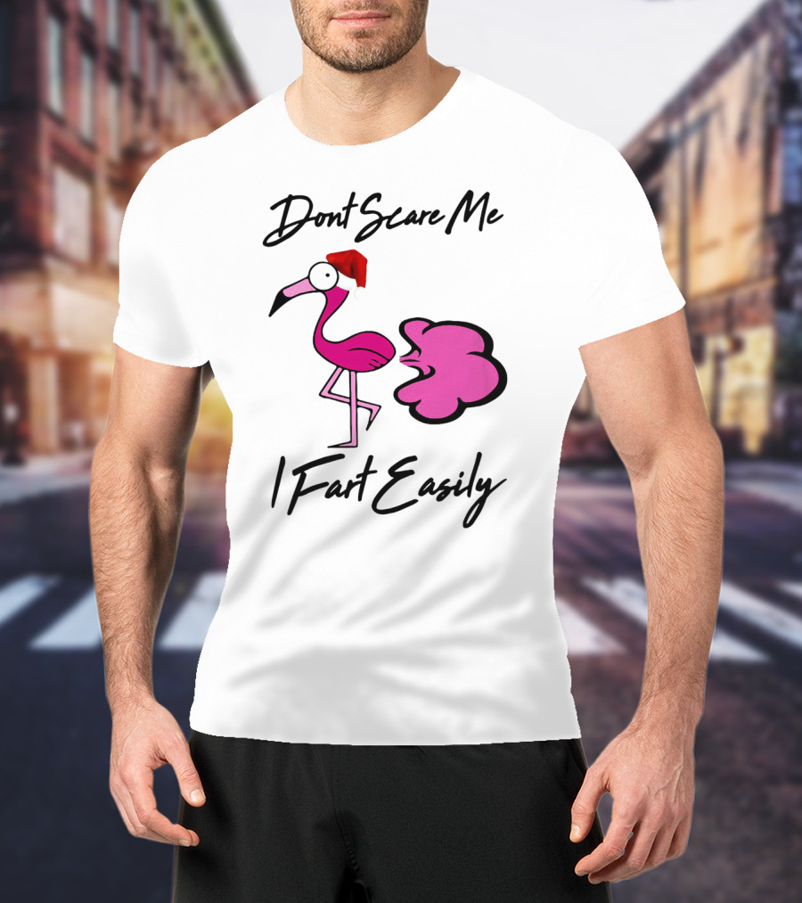 Dont Scare Me I Fart Easily Flamingo With Santa Hat T-Shirt