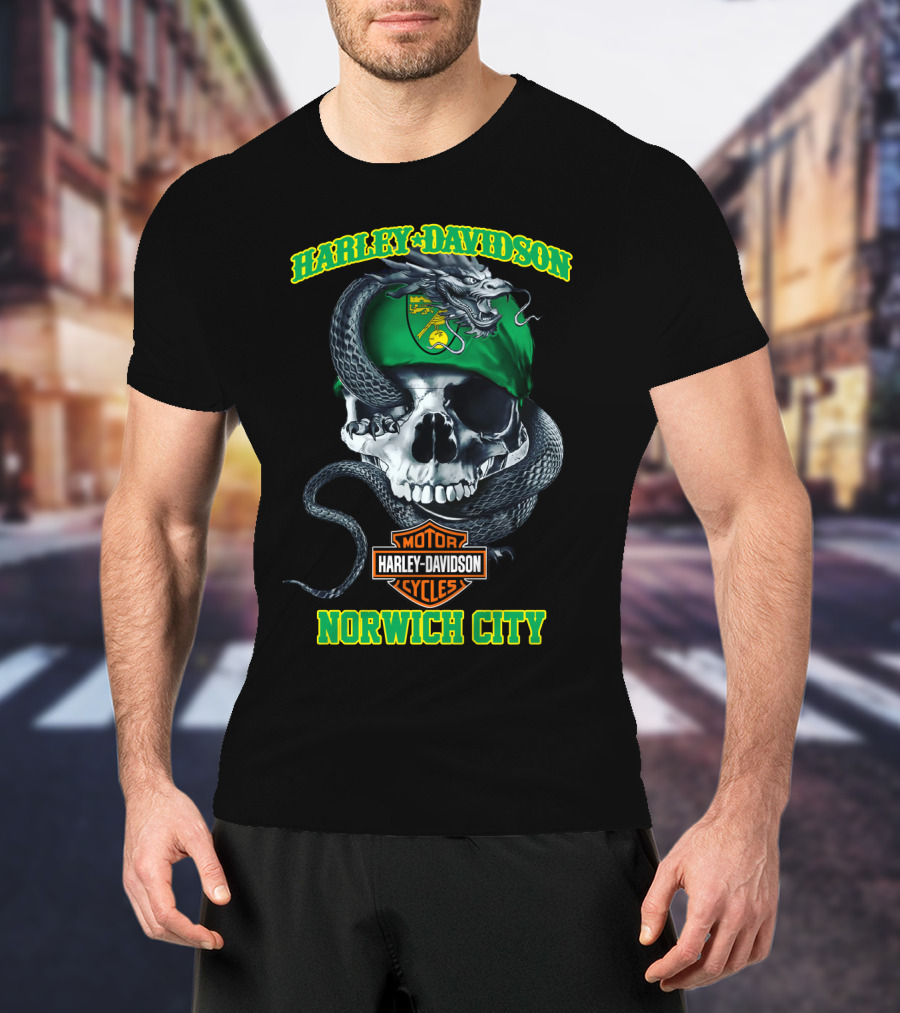 Harley Davidson Motor Cycles Skull Snake Norwich City T-Shirt