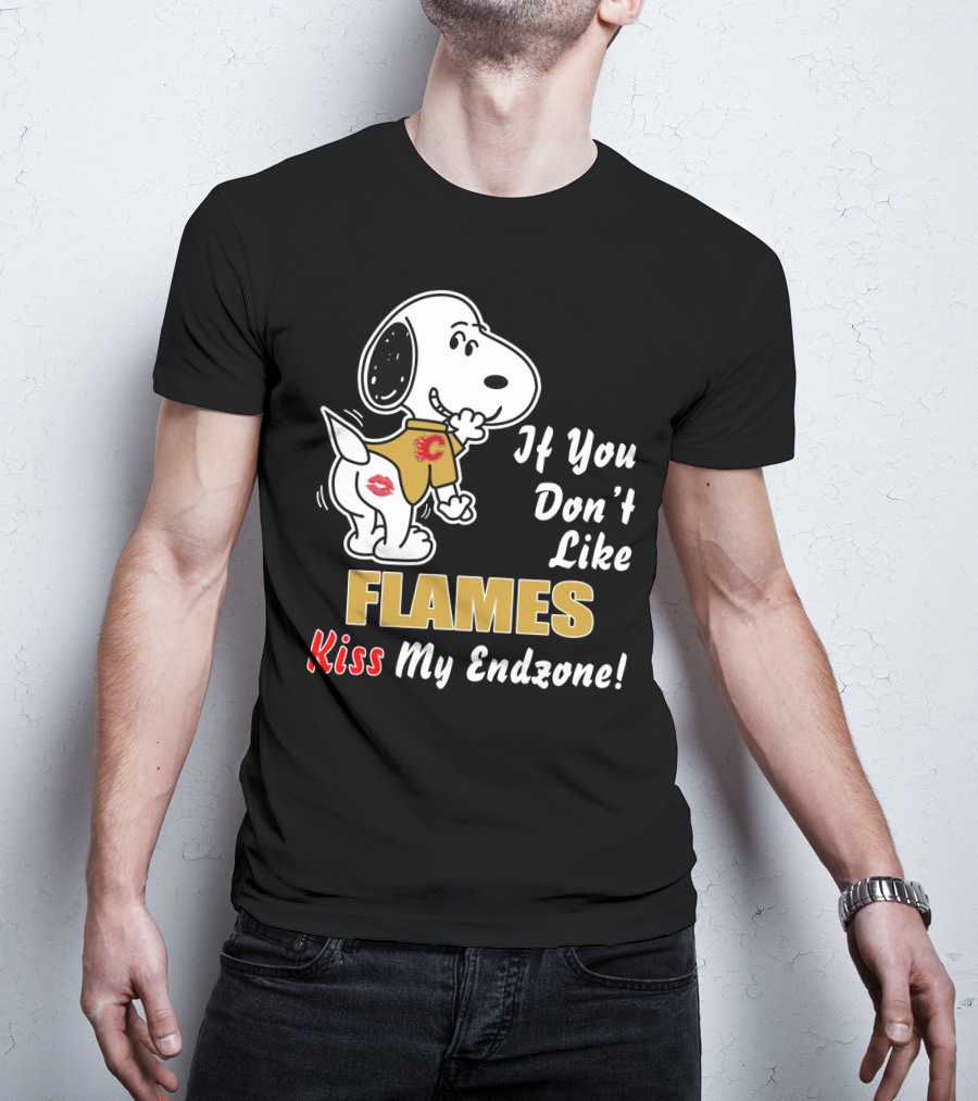 If You Don't Like Flames Kiss My Endzone T-Shirt