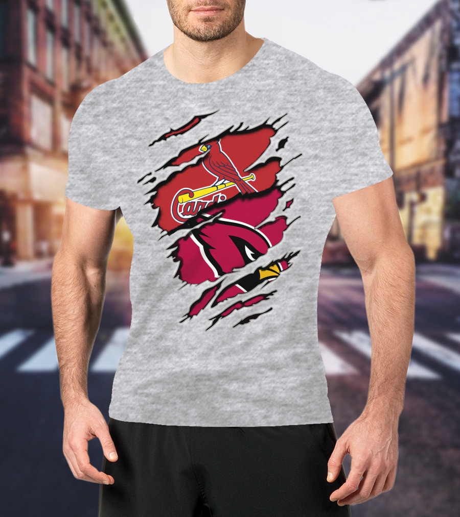 Cardinals St. Louis Arizona Distressed Style Sports Fan T-Shirt
