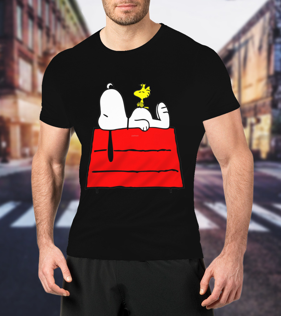 Snoopy Sleeping On Red Doghouse With Woodstock T-Shirt