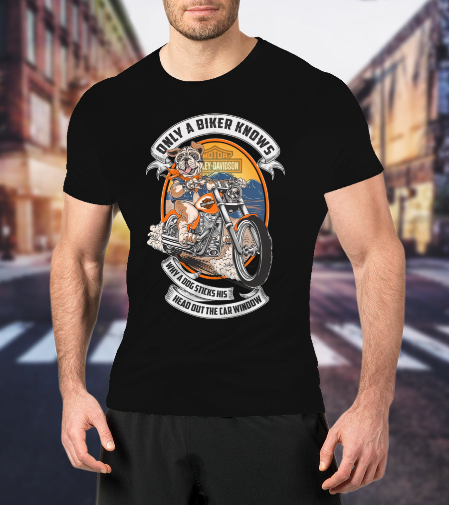 Hta 17 10 Bull Dog Only A Biker Knows Harley Davidson T-Shirt