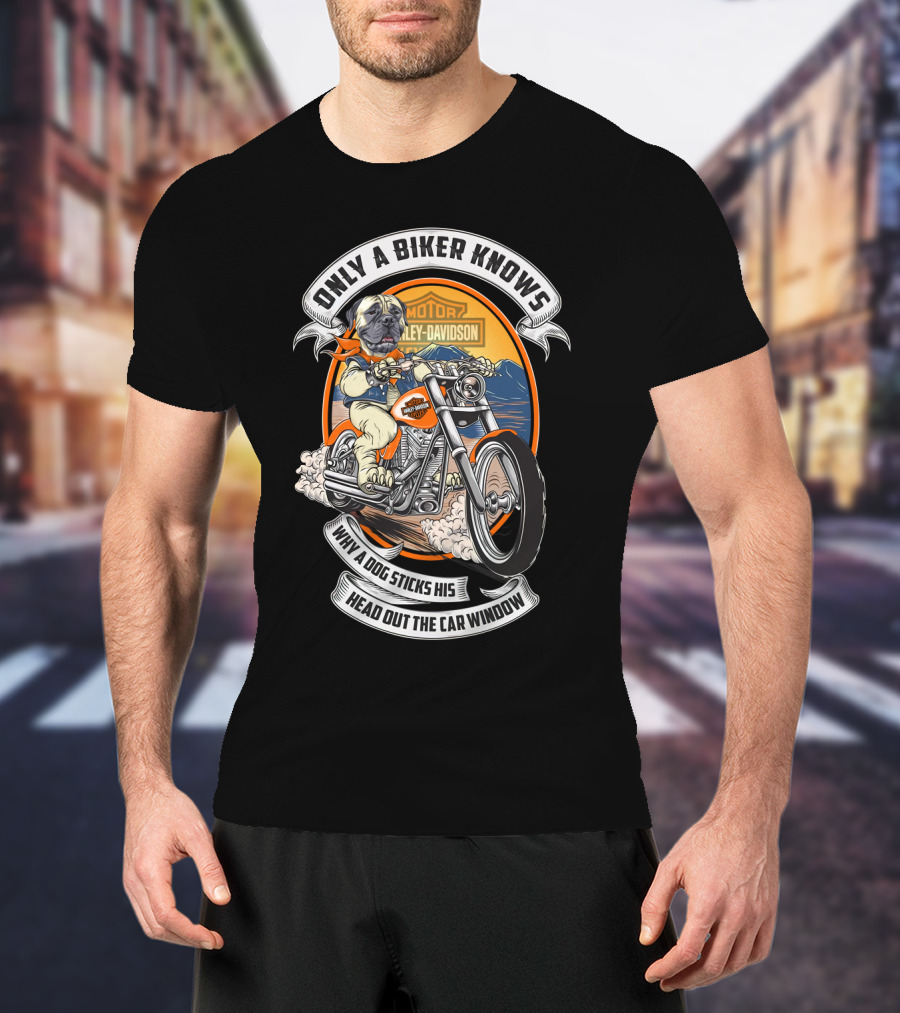 Only A Biker Knows Why A Dog Sticks His Head Out The Car Window Harley Davidson Bullmastiff T-Shirt