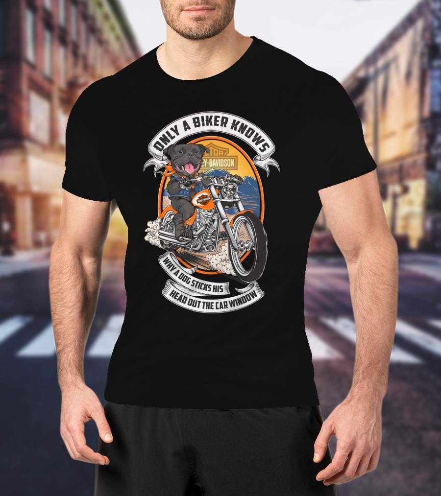 Only A Biker Knows When A Dog Sticks His Head Out The Car Window Harley Davidson Staffordshire Bull Terrier T-Shirt