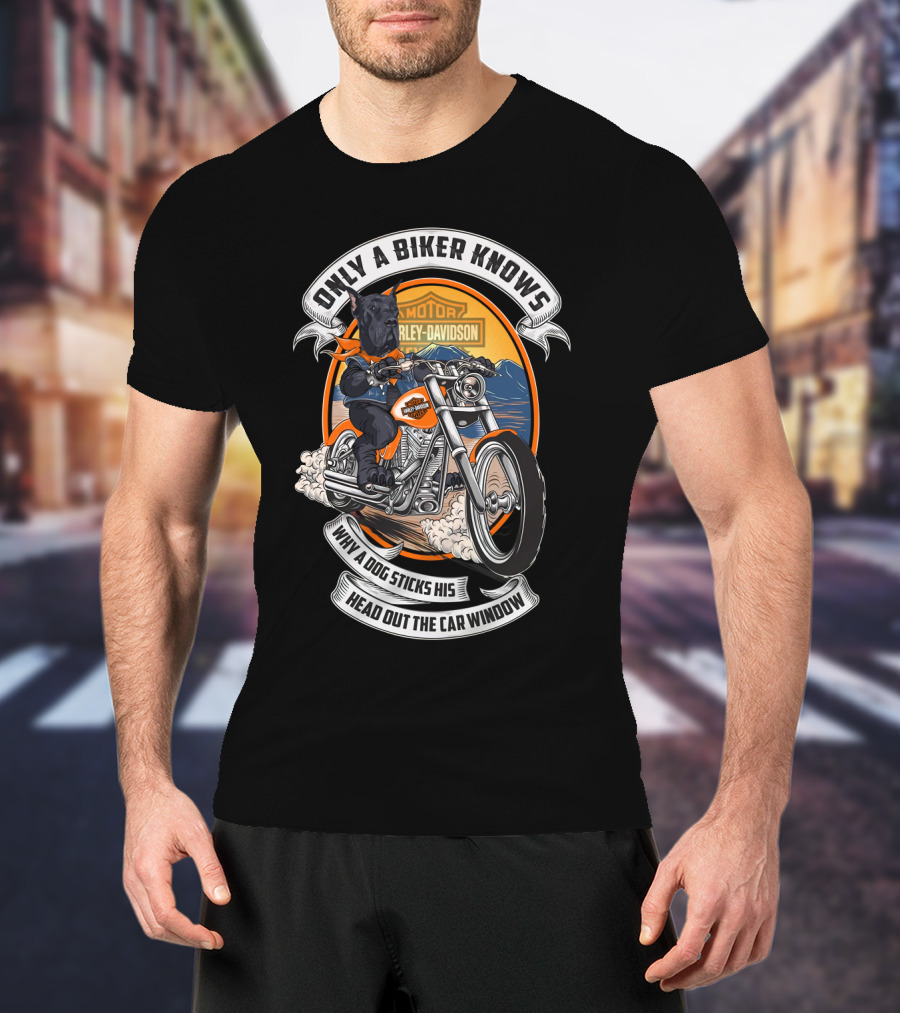 Only A Biker Knows Why A Dog Sticks His Head Out The Car Window Harley Davidson Great Dane Motorcycle T-Shirt