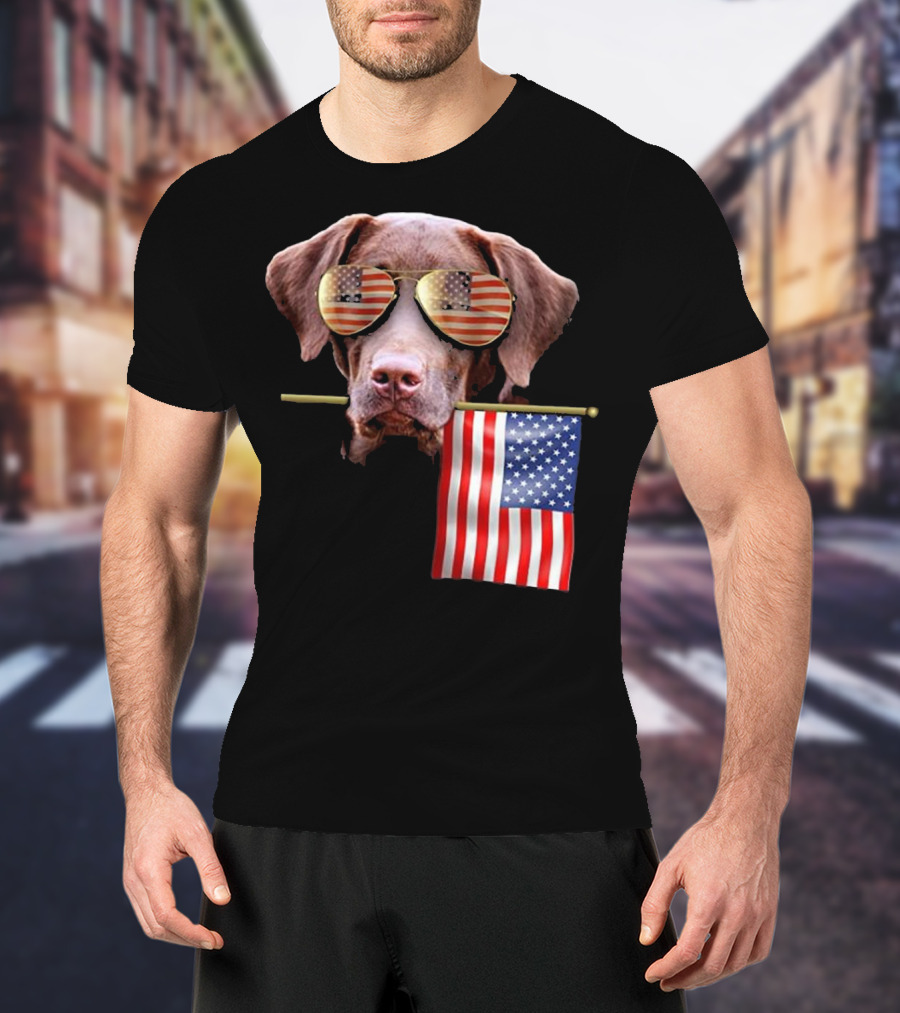 Pitbull Dog With American Flag Sunglasses And Flag T-Shirt