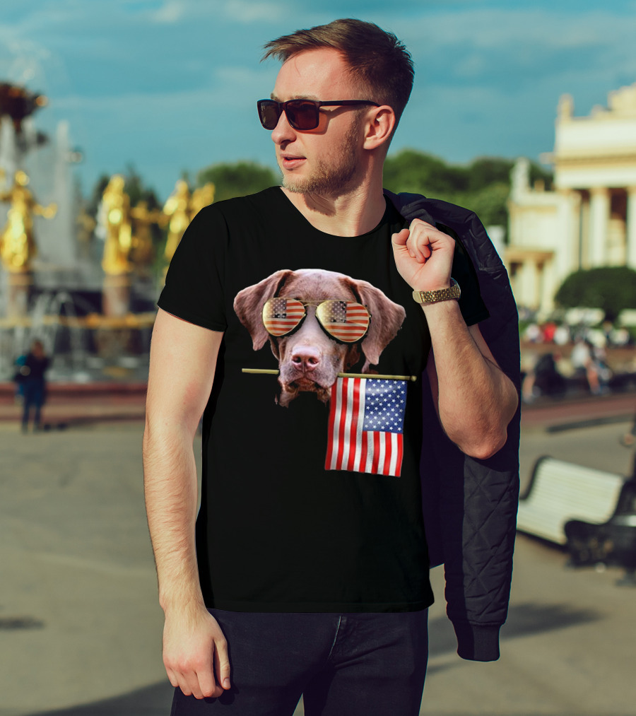 Pitbull Dog With American Flag Sunglasses And Flag T-Shirt
