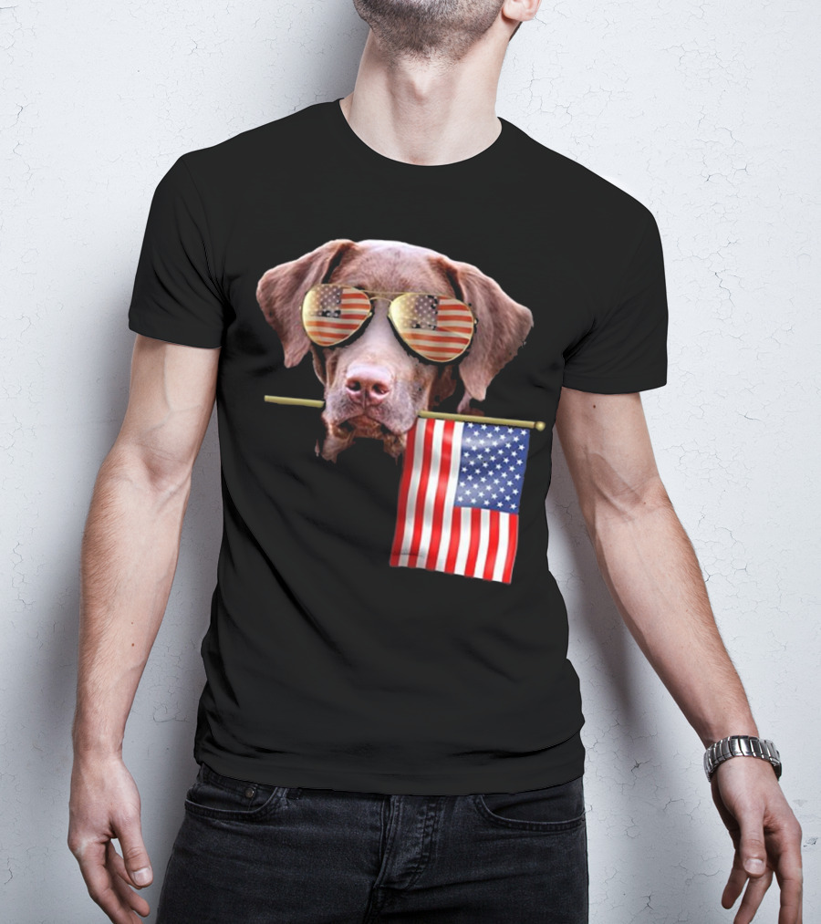 Pitbull Dog With American Flag Sunglasses And Flag T-Shirt