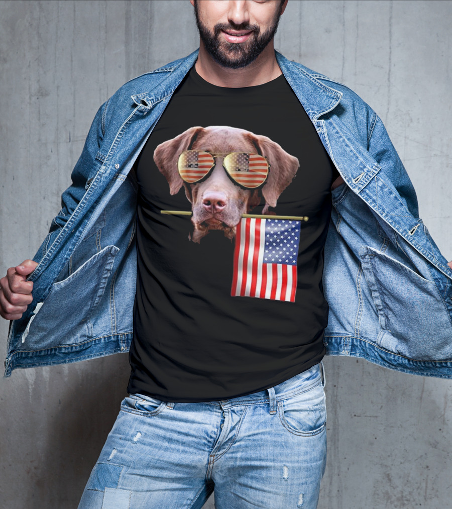 Pitbull Dog With American Flag Sunglasses And Flag T-Shirt