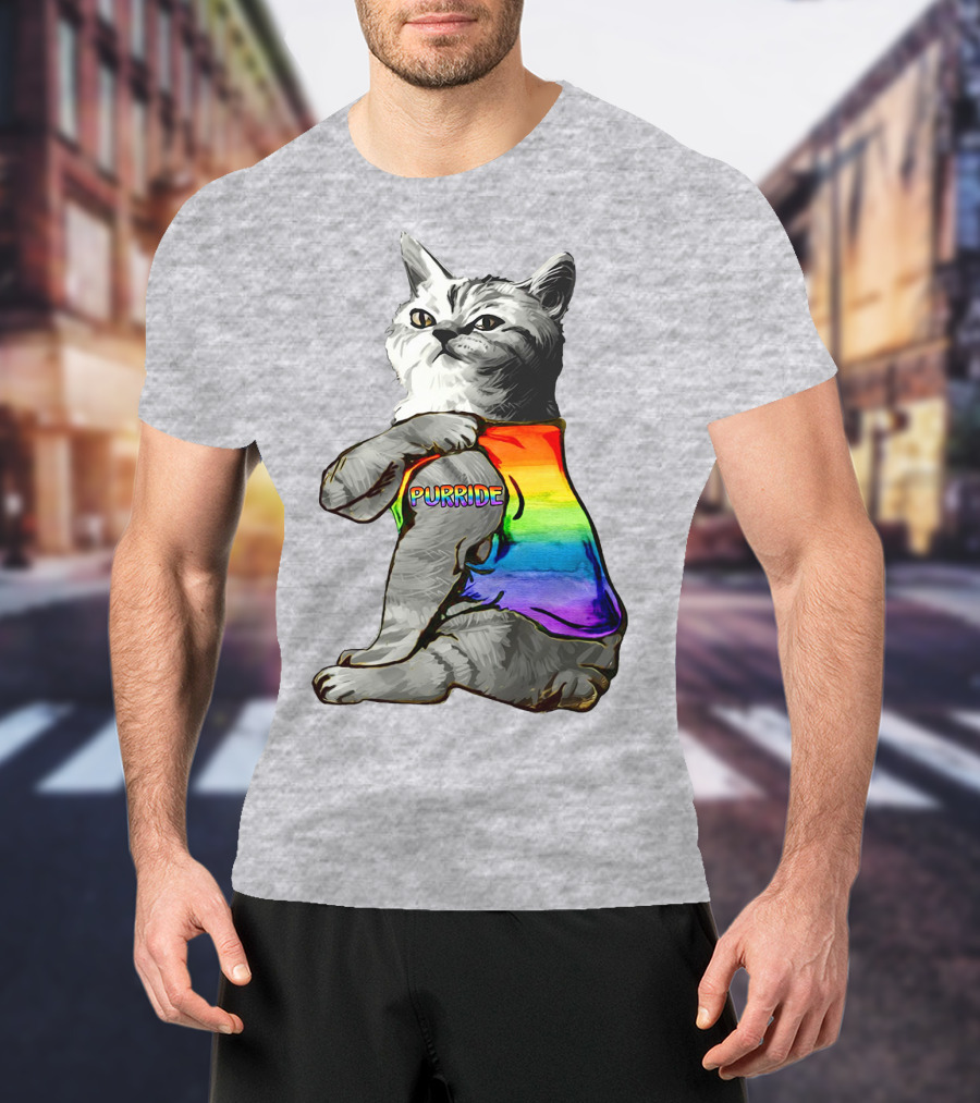 Purride Cat In Rainbow Colors T-Shirt