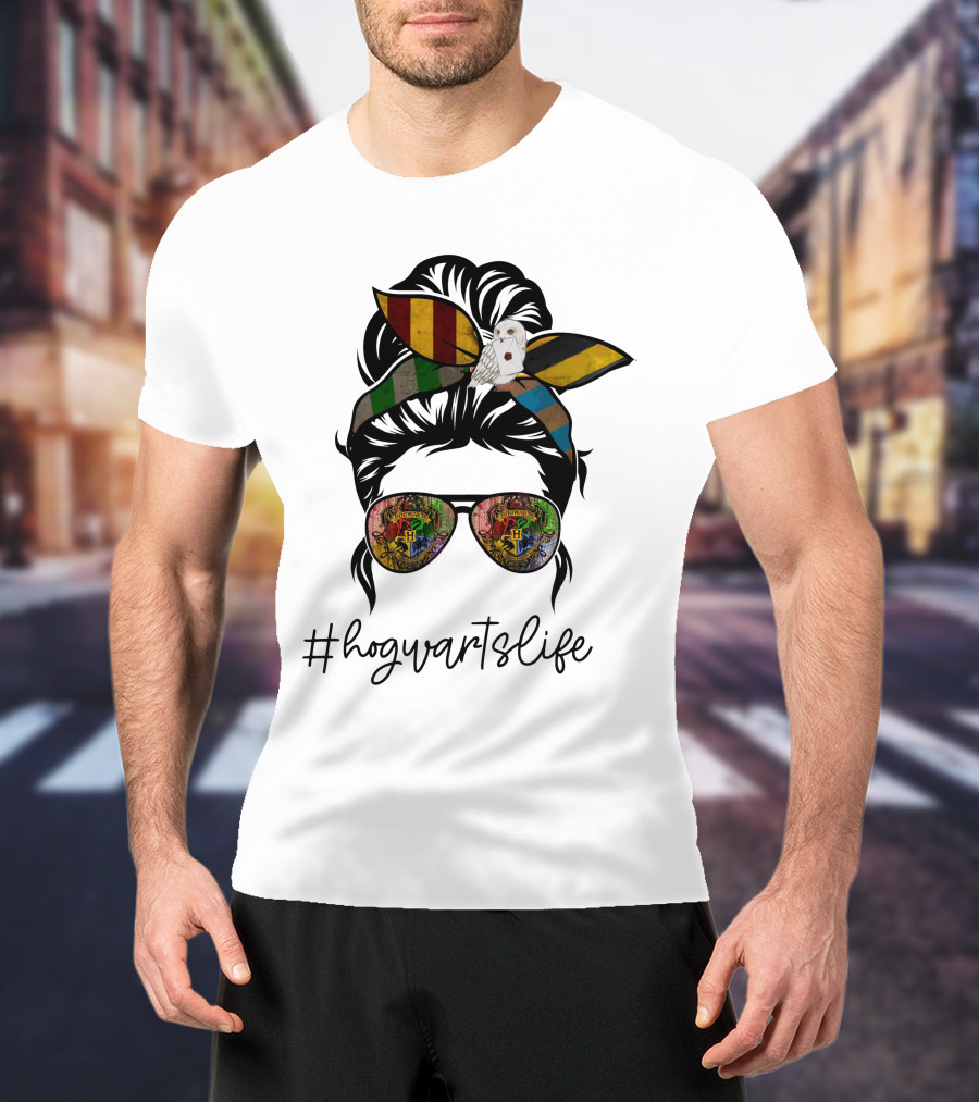 Hogwarts Life Wizarding World Style With House Colors And Owl T-Shirt