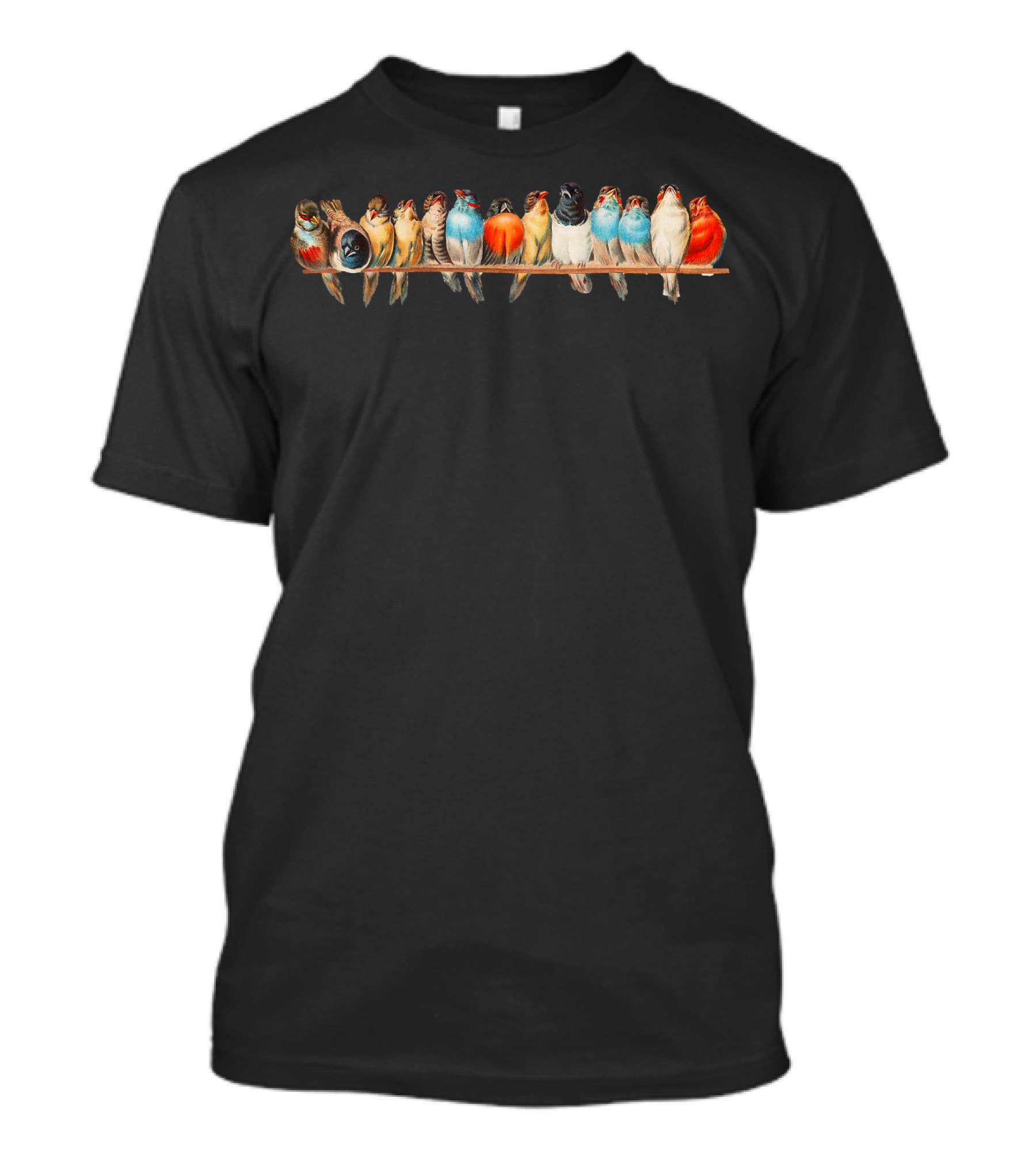 Cute Vintage Birds Perched On A Wire T-Shirt