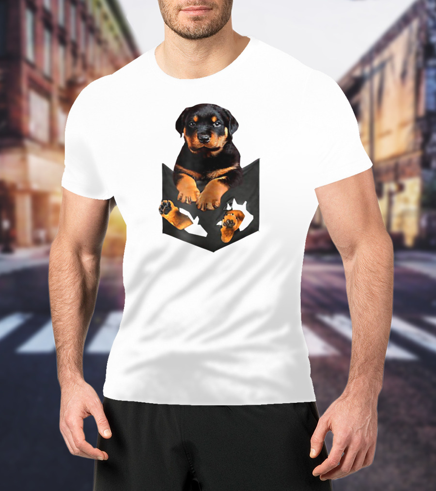 Rottweiler Puppy In Pocket T-Shirt
