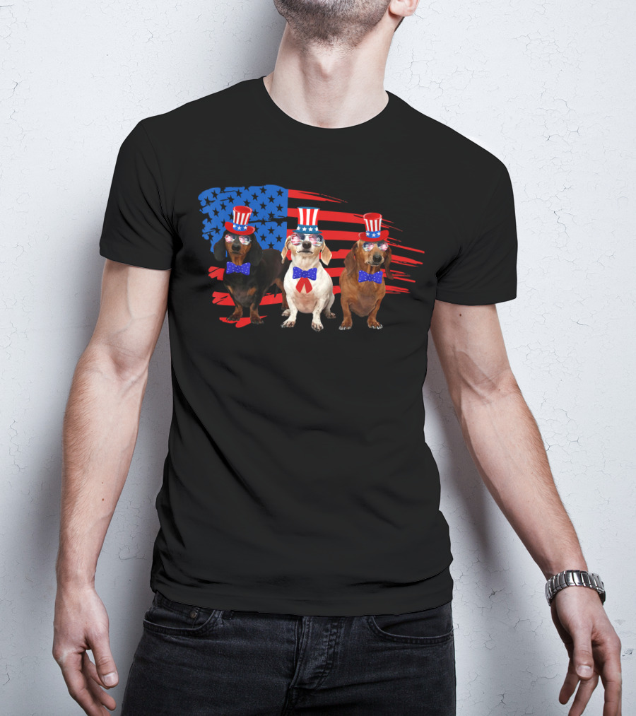 American Patriotic Dachshund Lover July Independence Day Trio T-Shirt