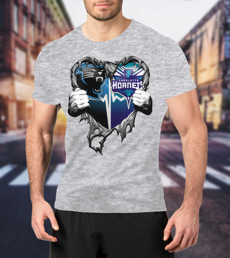 Carolina Panthers Charlotte Hornets Heart T-Shirt