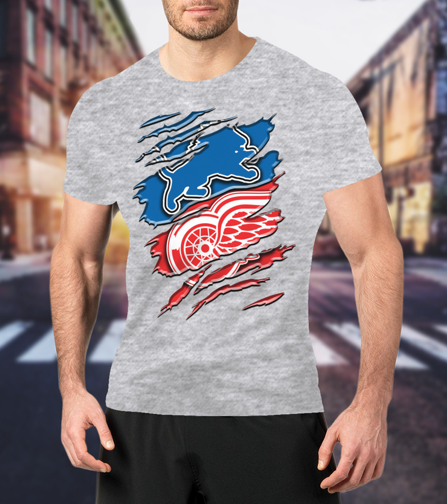 Detroit Red Wings Buffalo Sabres Vintage Mashup T-Shirt