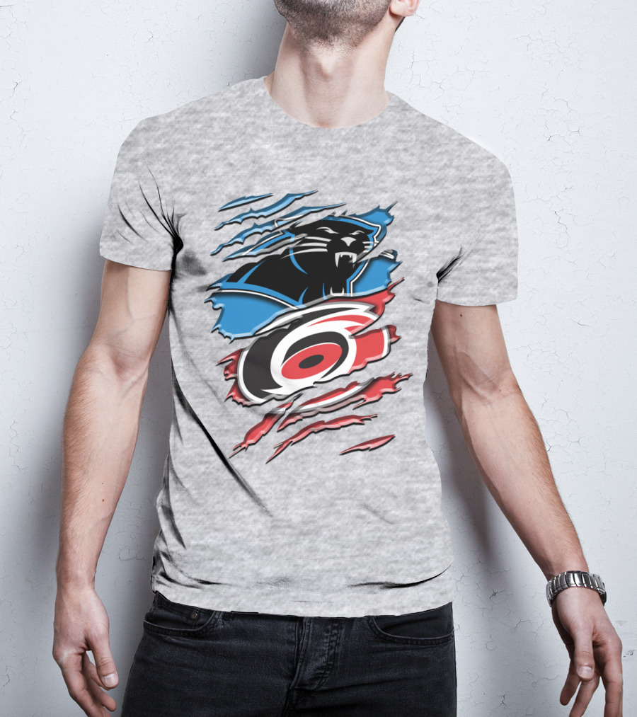 Carolina Panthers And Hurricanes Claw T-Shirt