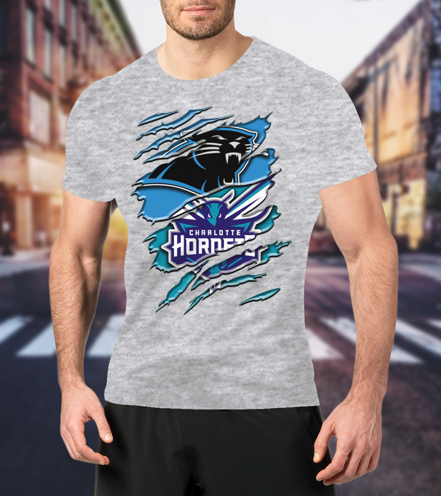 Panther And Charlotte Hornets Logo Rah T-Shirt