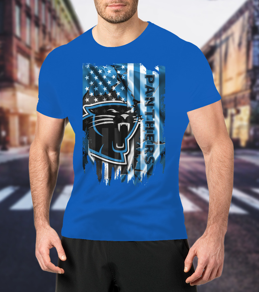 Panthers American Flag Stars And Stripes T-Shirt