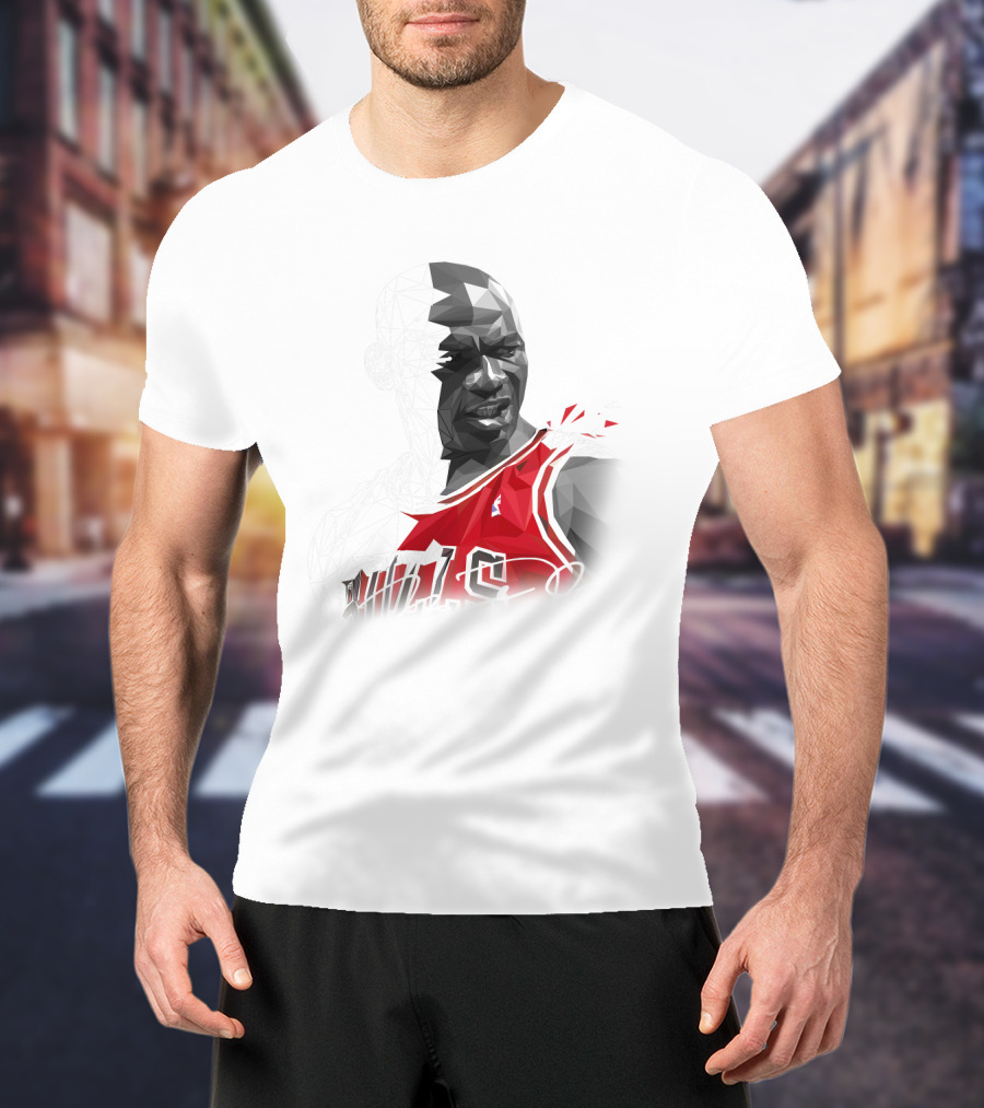 The Last Dance Jordan Bulls #23 Air Jordan Signature T-Shirt