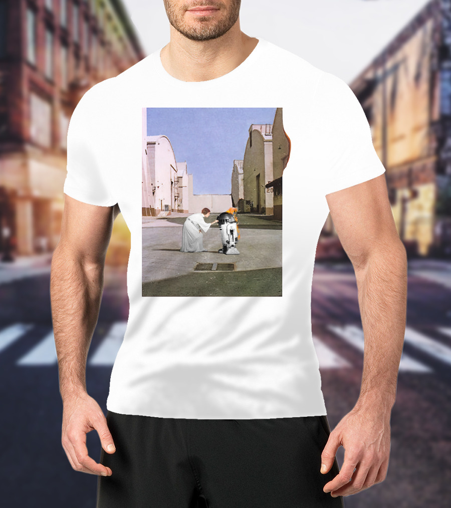 Wish You Were Leia With Princess And Droid In Iconic Courtyard Scene T-Shirt