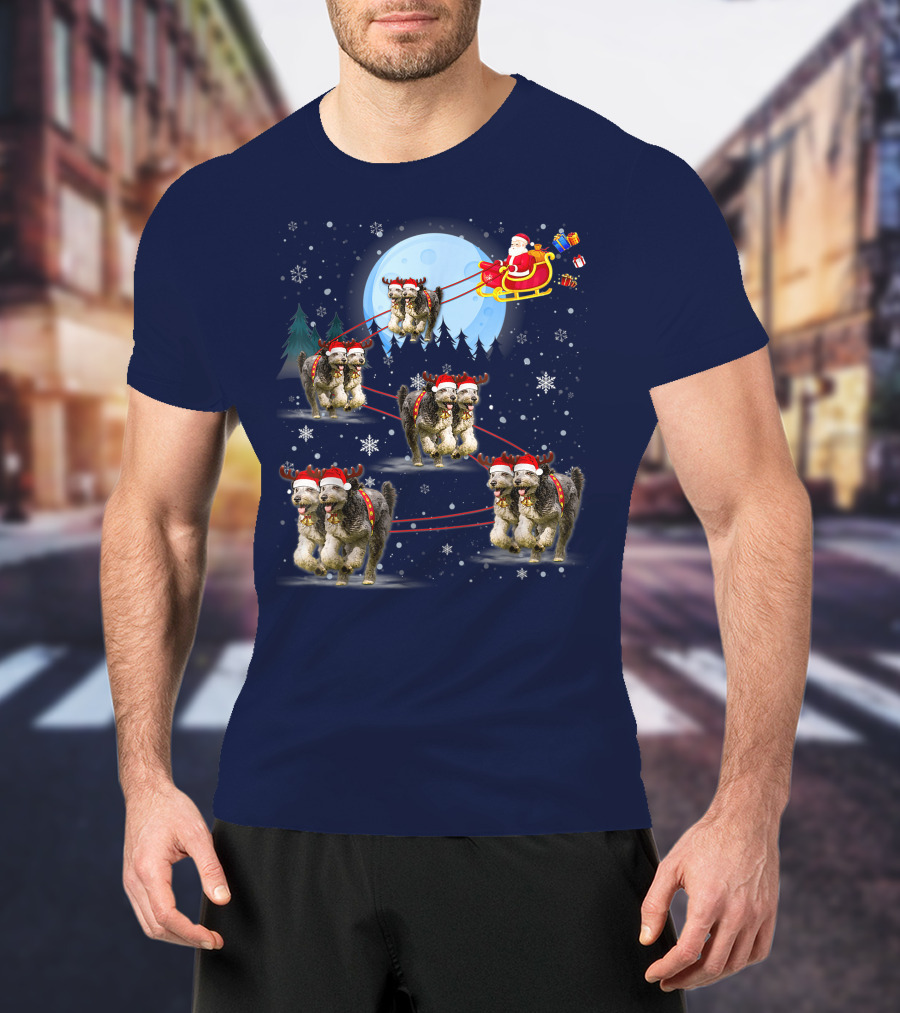 Funny Reindeer Santa With Dogs Pulling Sleigh By Moonlight T-Shirt