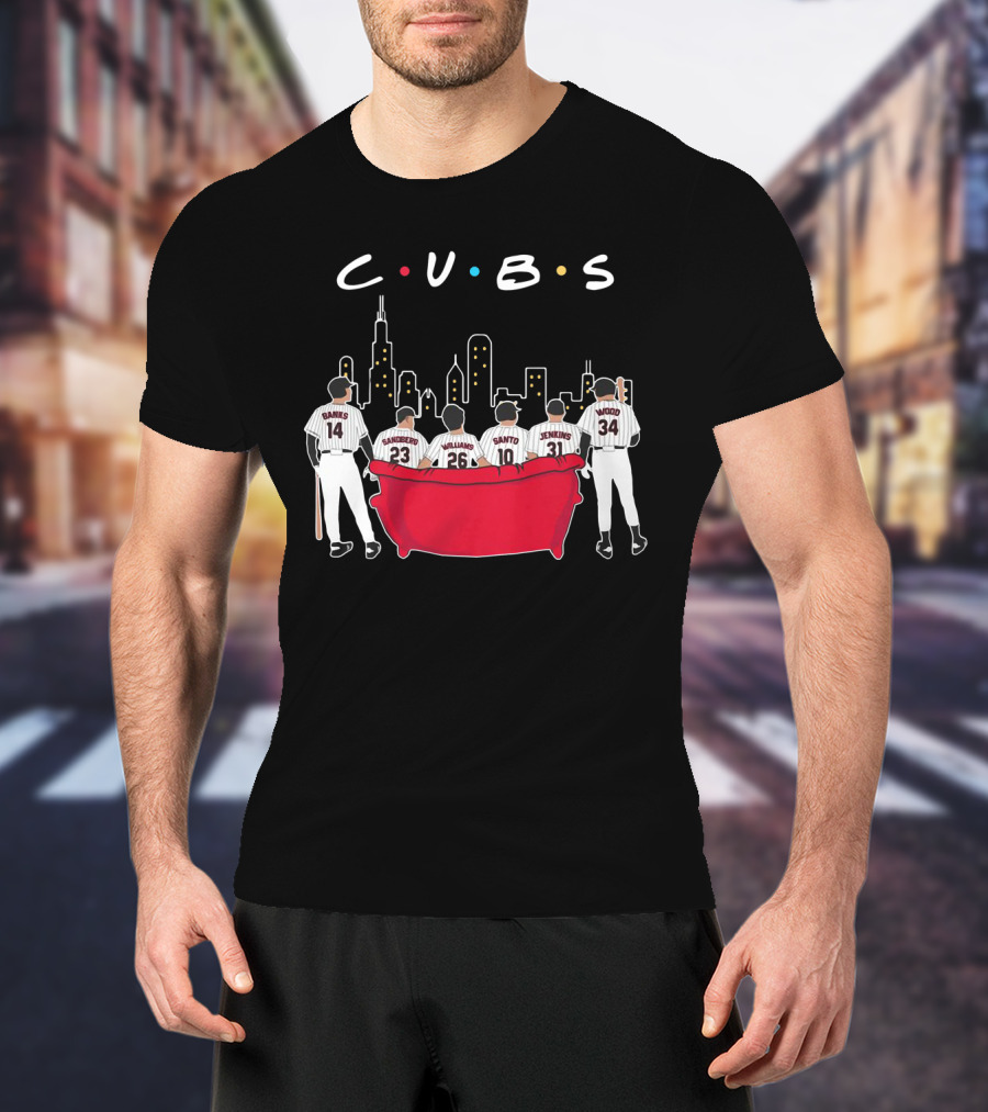 Cubs Friends Chicago Skyline Banks Sandberg Williams Santo Jenkins Wood T-Shirt
