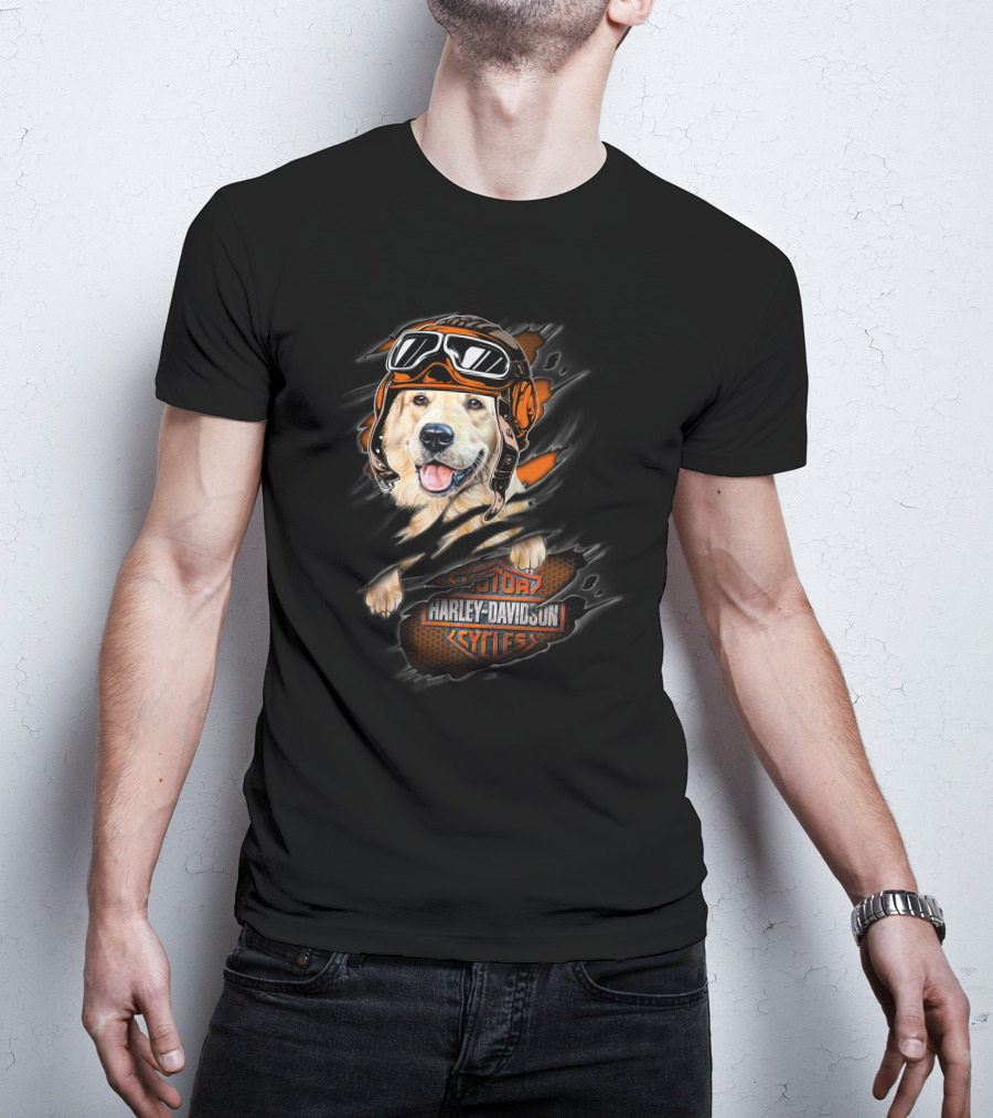 Golden Retriever Wearing Biker Helmet With Harley Davidson Motorcycles T-Shirt