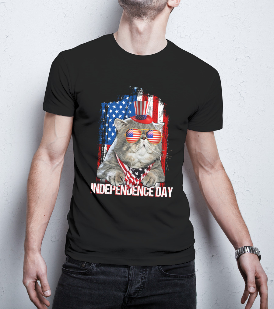 Independence Day Cat With American Flag Glasses And Top Hat T-Shirt