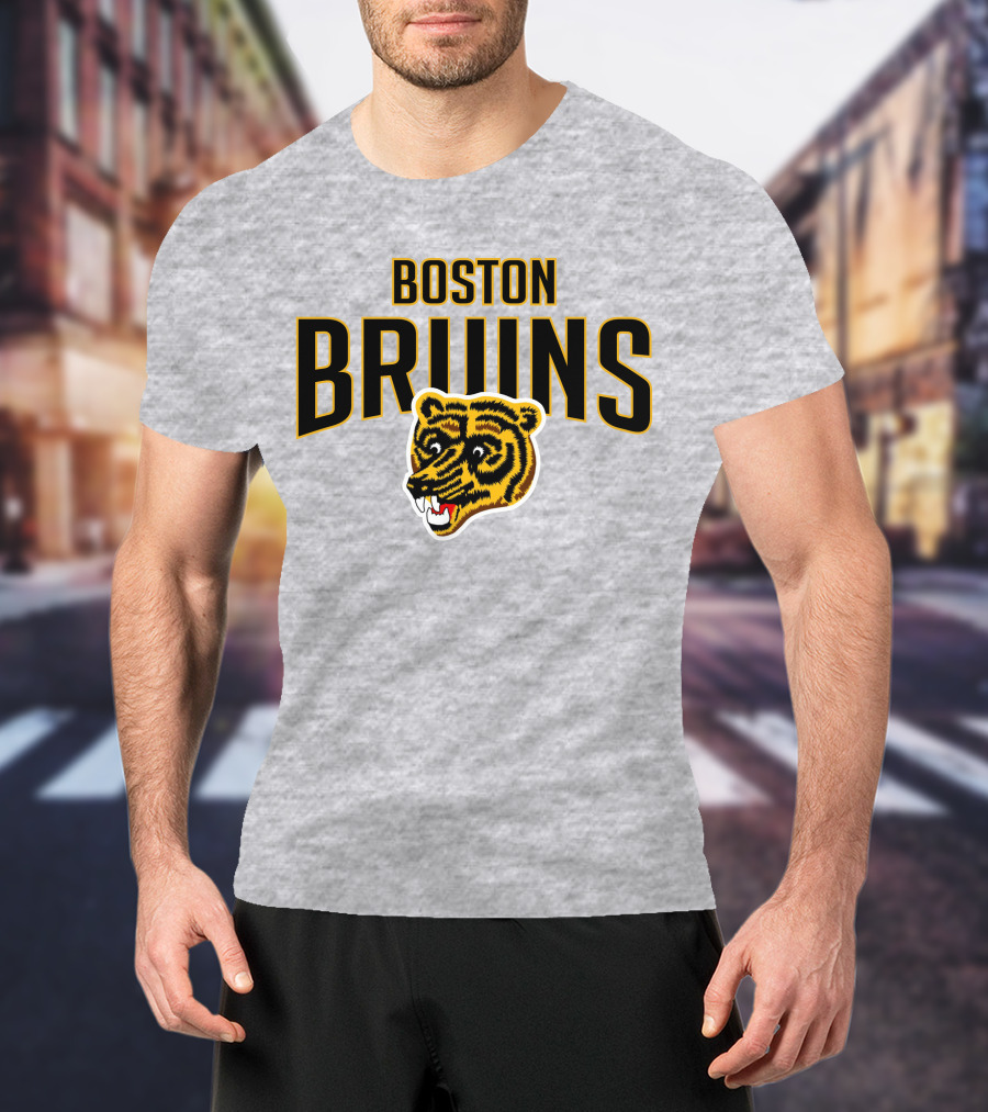 Boston Bruins Classic Vintage Logo Longsleeve T-Shirt