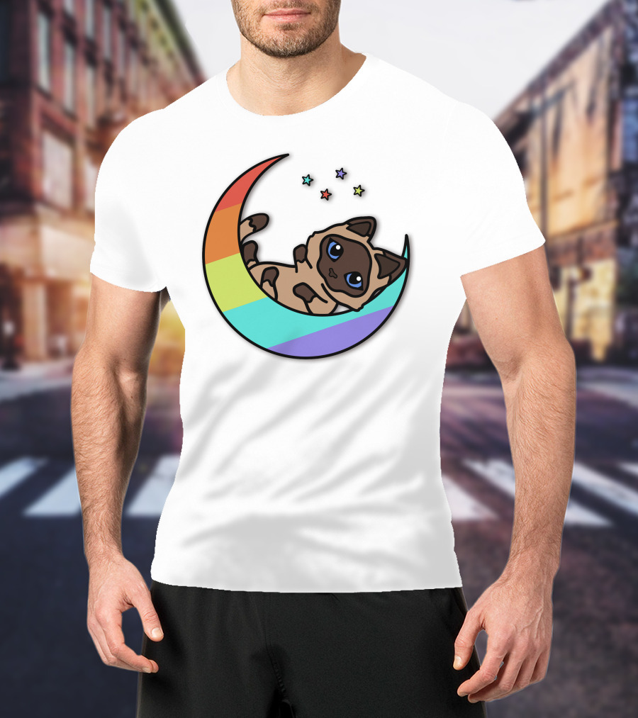 Antfrost Cat On Rainbow Crescent With Stars T-Shirt