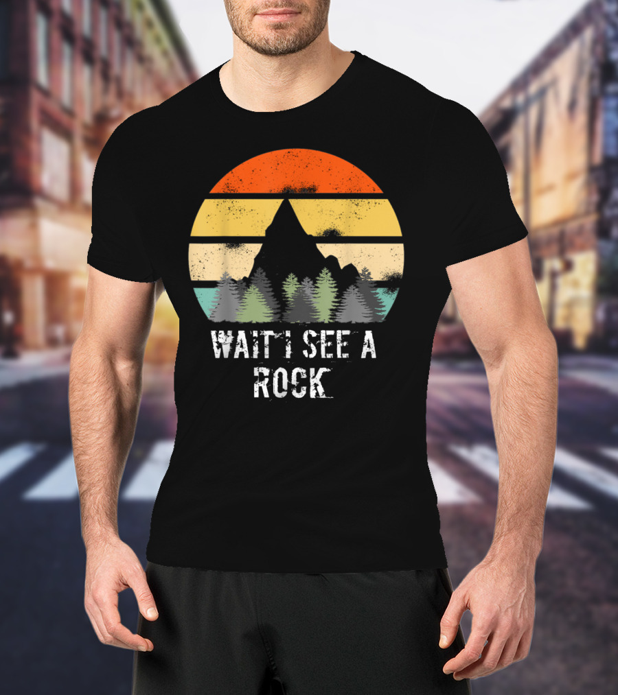 Retro Vintage Wait I See A Rock Geologist Sunset Forest Scene T-Shirt