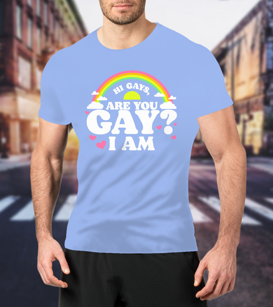 Chrissy Chlapecka Merch Hi Gays Are You Gay I Am With Rainbow And Hearts T-Shirt