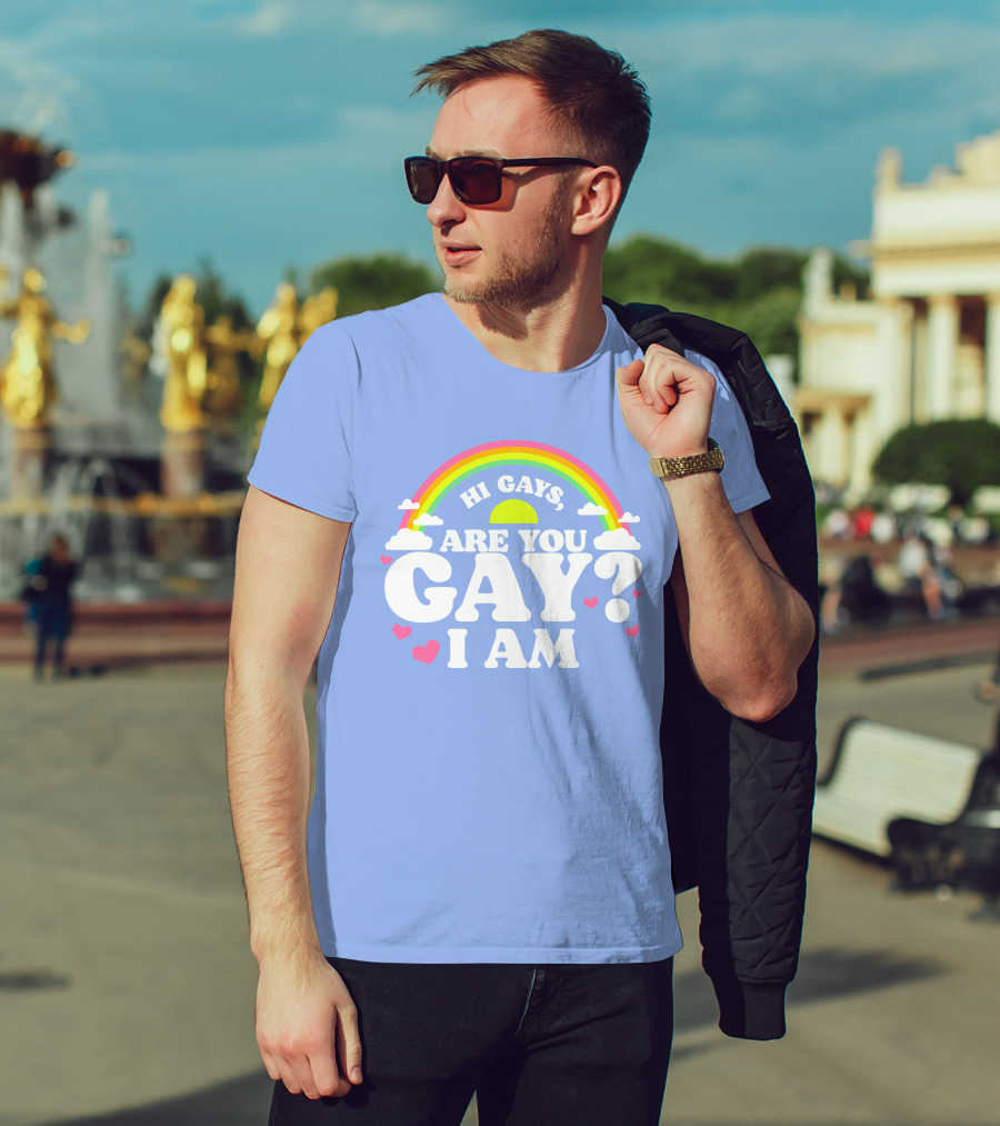 Chrissy Chlapecka Merch Hi Gays Are You Gay I Am With Rainbow And Hearts T-Shirt