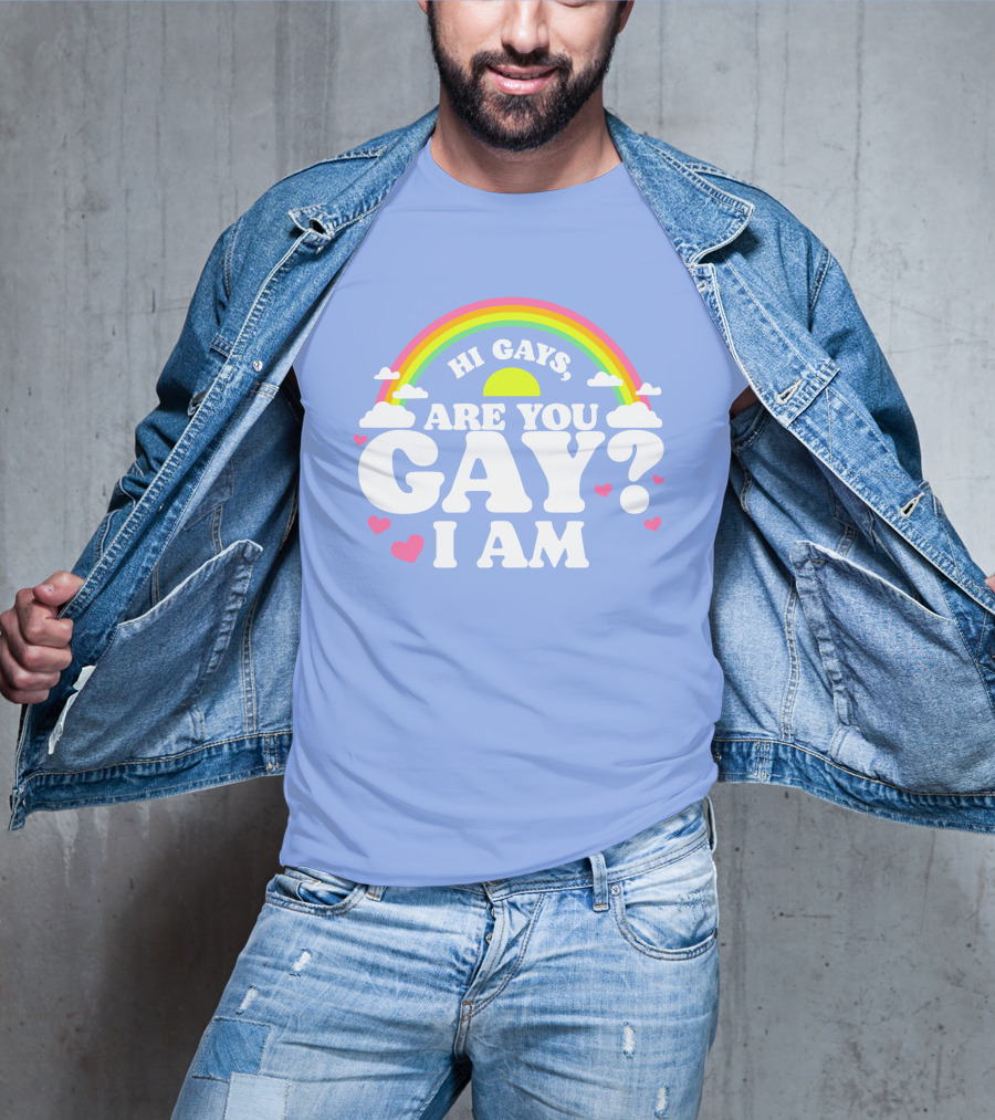 Chrissy Chlapecka Merch Hi Gays Are You Gay I Am With Rainbow And Hearts T-Shirt
