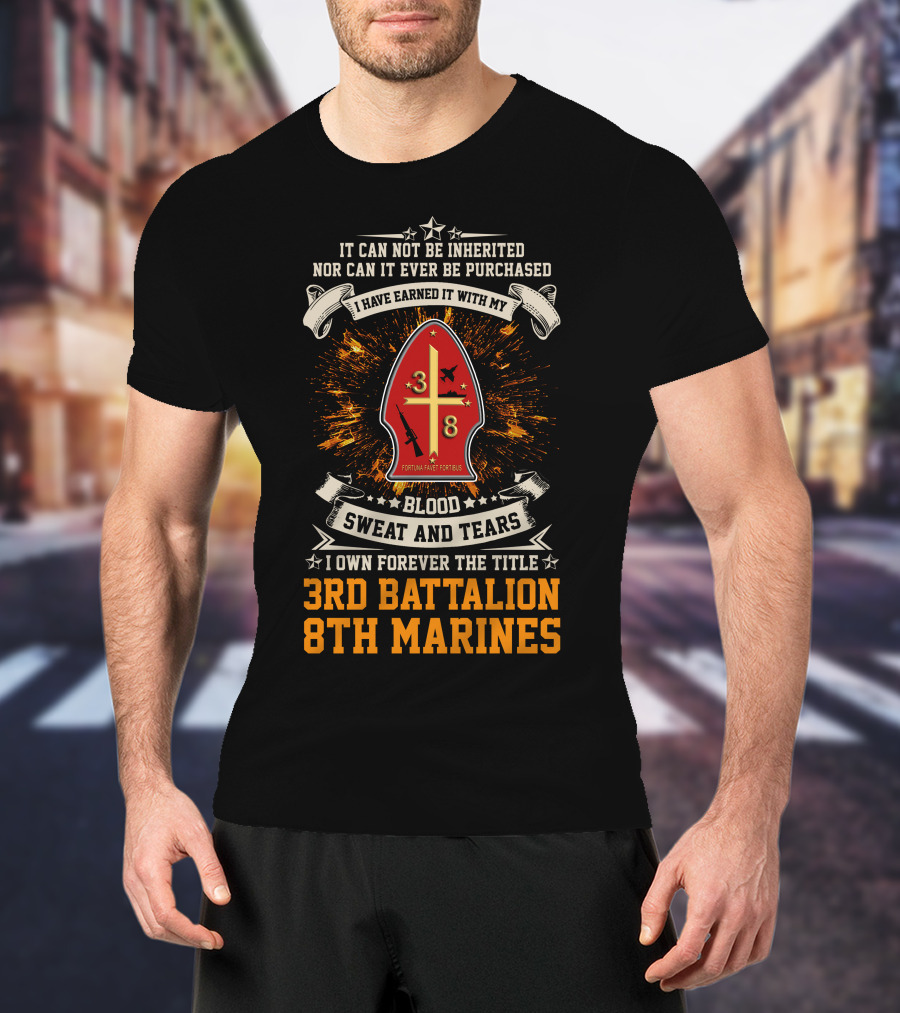 I Own Forever The Title 3Rd Battalion 8Th Marines Blood Sweat And Tears T-Shirt