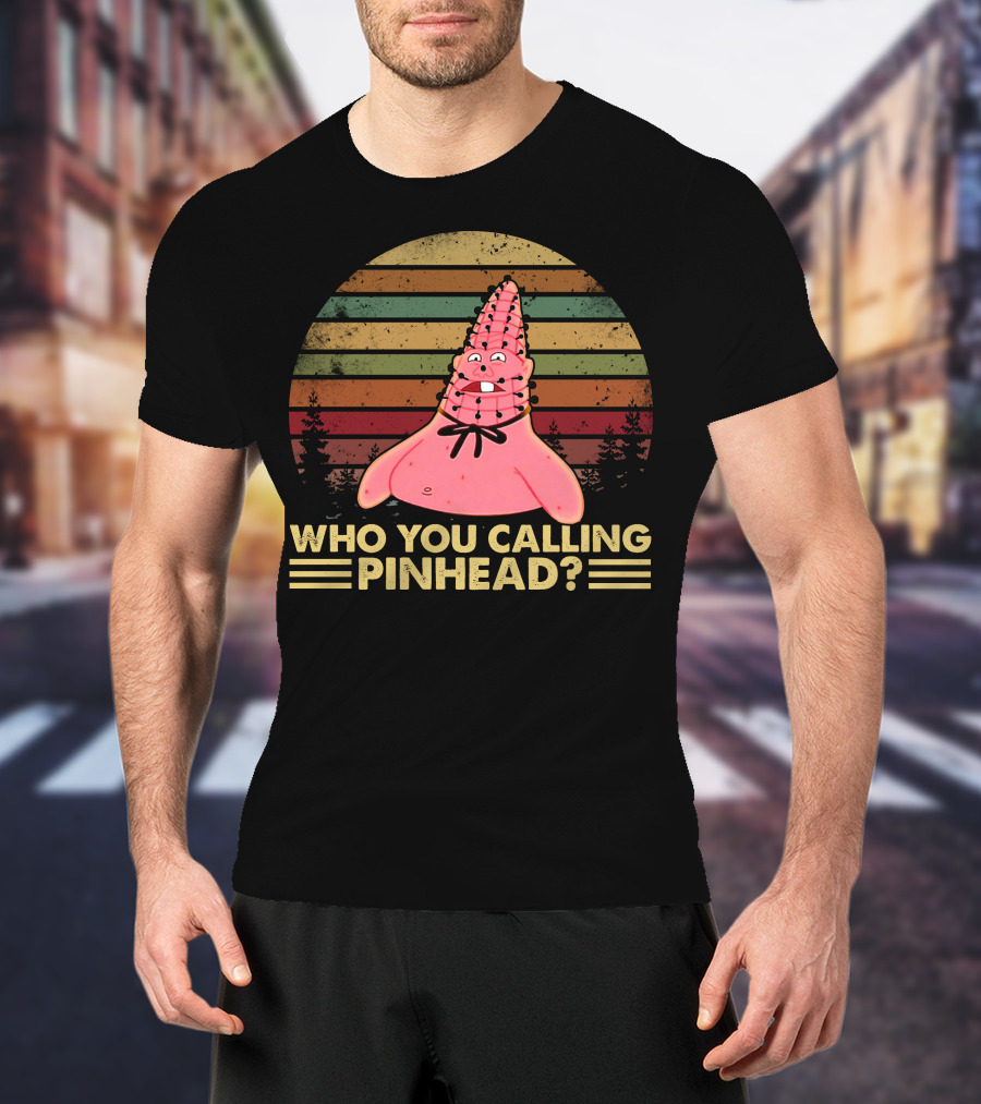 Who You Calling Pinhead Vintage Retro Sunset T-Shirt