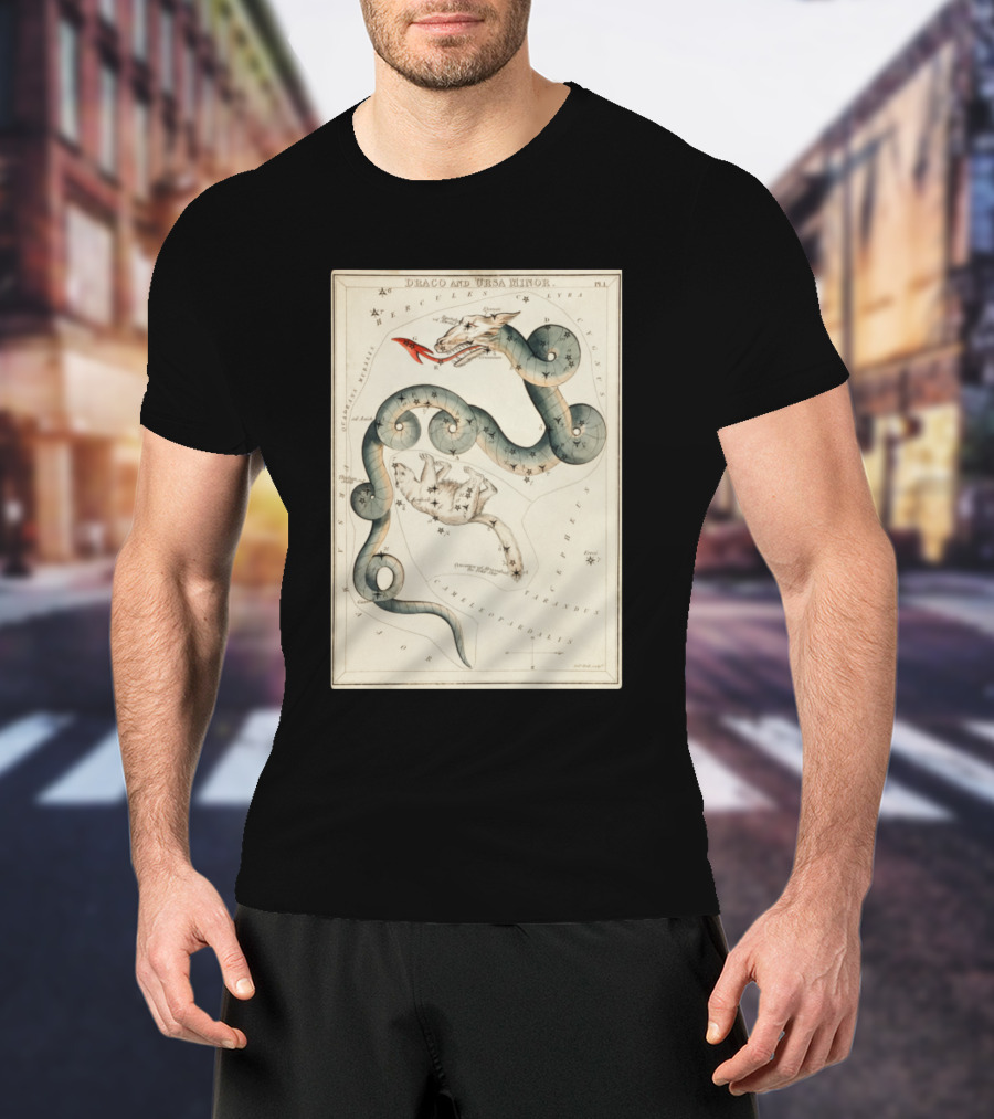 Draco And Ursa Minor Celestial Map T-Shirt